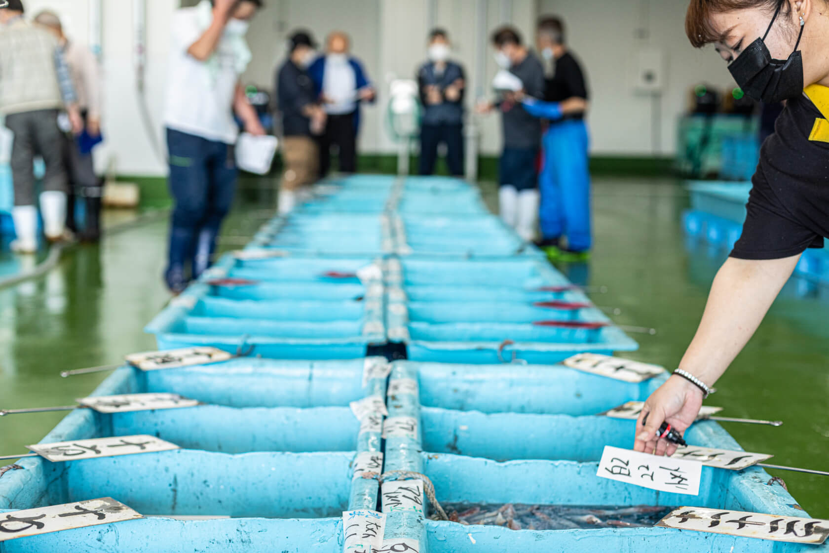 競り落とし中の写真